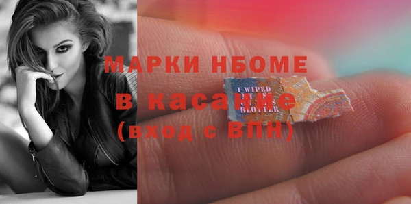 хмурый Абаза