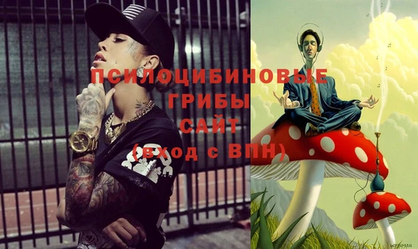 хмурый Абаза
