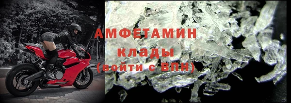 хмурый Абаза