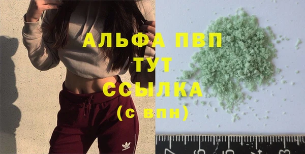 хмурый Абаза