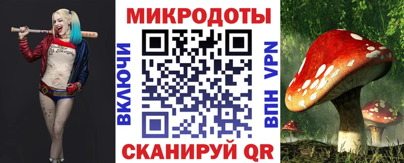 маркетплейс клад  Элиста  Псилоцибиновые грибы Psilocybe 