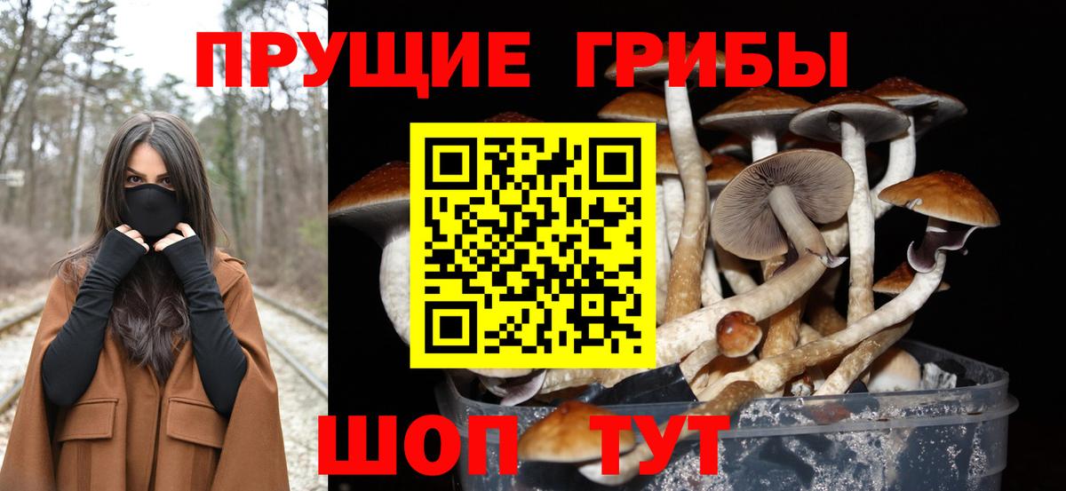 Элиста  Галлюциногенные грибы прущие грибы  Псилоцибиновые грибы MAGIC MUSHROOMS  Вход с VPN 